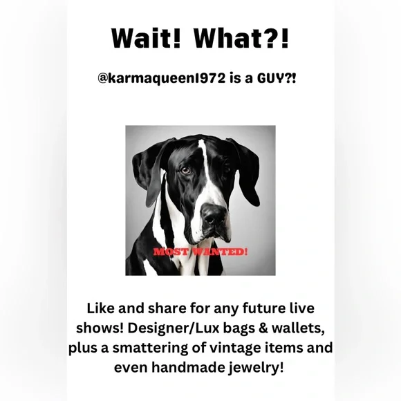 Show flyer - Picture 1 of 1